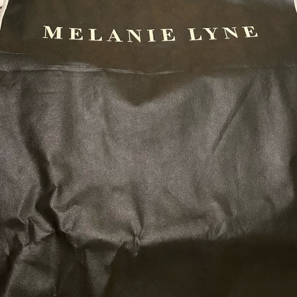 Melanie Lyne lace dress with dust cover - Picture 9 of 9